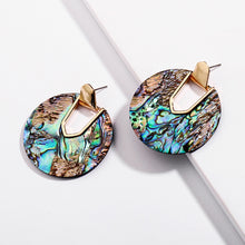 Load image into Gallery viewer, Safari Resin Fashion Earrings
